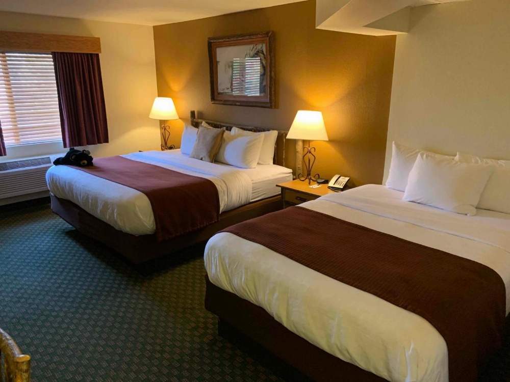 AmericInn by Wyndham Cody Main image