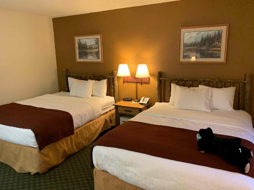 AmericInn by Wyndham Cody image 22